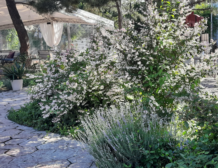 Спа-отель «Феодосия»