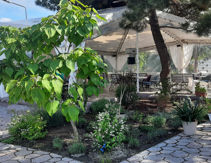 Рестораны и бары - Спа-отель «Феодосия»